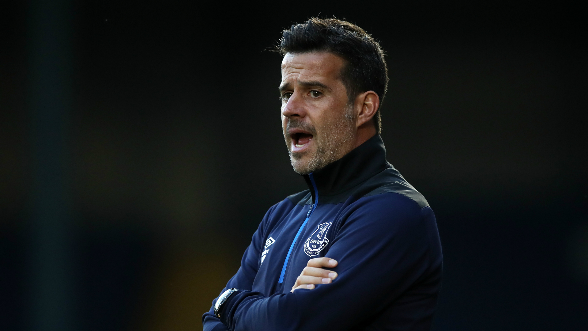 马之间的较 马之间的较